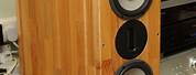 DIY Speakers Audiophile