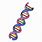 DNA Structure Cartoon