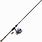 Daiwa Legalis Rod