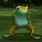 Dancing Frog Meme