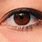 Dark Brown Eye Color