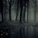 Dark Forest HD Wallpaper 1080P