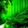 Dark Green Forest Desktop Wallpaper