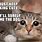 Dark Humor. Cat Memes