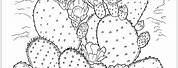 Desert Cactus Coloring Pages Printable