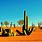 Desert Cactus Desktop Wallpaper