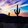 Desert Sunset with Cactus