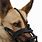 Dog Muzzles for Dogs