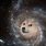 Doge in Space Meme