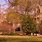 Duke University Graduate School