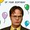 Dwight Schrute Birthday