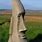 Easter Island Garden Head