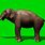 Elephant Green screen