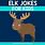 Elk Jokes
