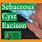Excision of Sebaceous Cyst