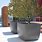 Extra Large Planters for Trees