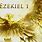 Ezekiel 1 Angels