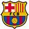 FC Barcelona Colors
