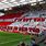 FC Köln Fans Choreo
