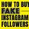 Fake Followers Instagram