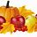 Fall Fruit Clip Art