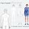 Fashion Design Templates Male