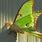 Female Luna Moth