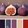 Fig Color Palette