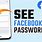 Find My Facebook Password
