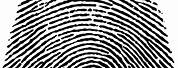 Fingerprint Transparent Background