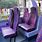First Bus Seats