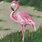 Flamingo On Canvas