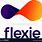 Flex Design Logo