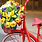 Flower Bicycle