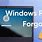 Forgot Pin Windows 10