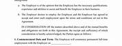 Free Employment Contract Sample PDF