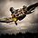 Freestyle Motocross Wallpaper