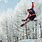 Freestyle Skiing Tricks