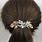 French Barrette Hair Clips