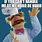 Funny Adult Muppet Memes