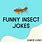 Funny Bug Jokes