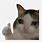 Funny Cat Meme Emoji
