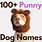 Funny Dog Names