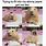 Funny Hamster Memes Clean