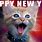 Funny Kitty Cat New Year
