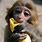 Funny Monkey Banana