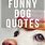 Funny Pet Quotes