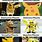 Funny Pokemon Pikachu