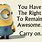 Funny Sarcastic Minion Quotes