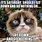 Funny Saturday Cat Memes
